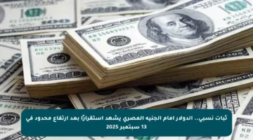 ثبات نسبي.. الدولار أمام الجنيه المصري يشهد استقرارًا بعد ارتفاع محدود في 13 سبتمبر 2025